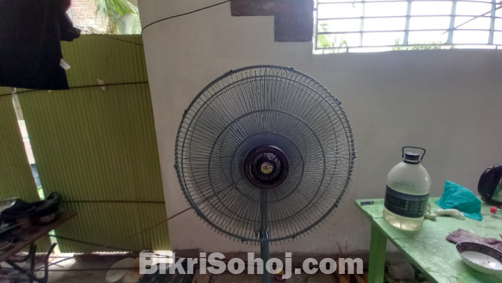 পাক ফ্যান